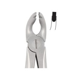 Tooth Forceps Englisth Pattern Fig. 181 – Accuram Instruments, Extraktionszangen