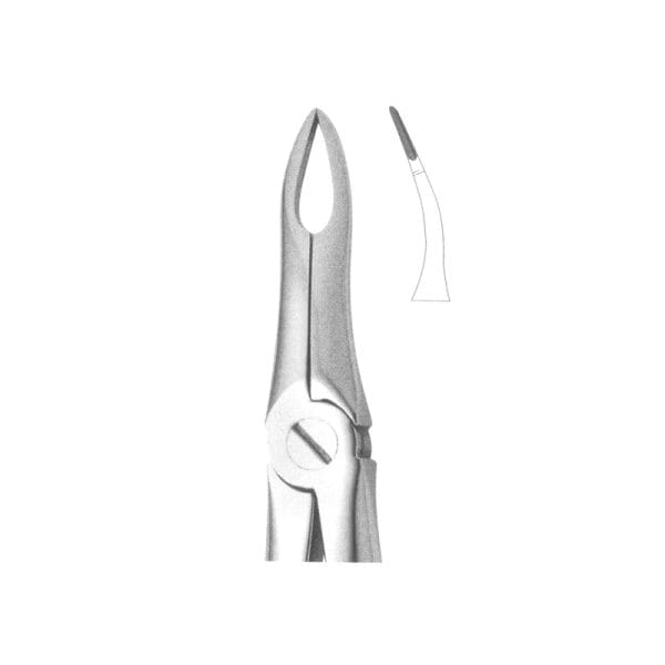 Tooth Forceps Englisth Pattern Fig. 49 – Accuram Instruments, Extraktionszangen