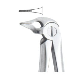 Tooth Forceps Englisth Pattern Fig. 185 – Accuram Instruments, Extraktionszangen