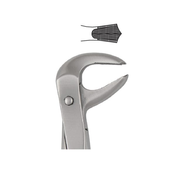 Tooth Forceps Englisth Pattern Fig. 73 – Accuram Instruments, Extraktionszangen