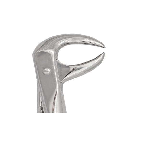 Tooth Forceps Englisth Pattern Fig. 86 – Accuram Instruments, Extraktionszangen