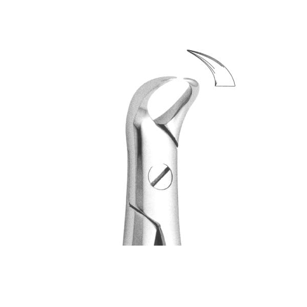 Tooth Forceps Englisth Pattern Fig. 87 – Accuram Instruments, Extraktionszangen