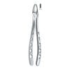 Tooth Forceps Englisth Pattern Hole Handle Fig. 2 – Accuram Instruments, Extraktionszangen