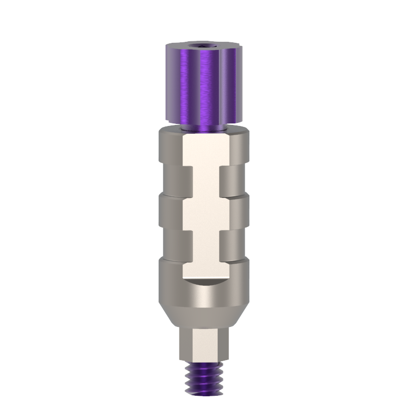 S-line Impressions – Alfa Gate, Abutments