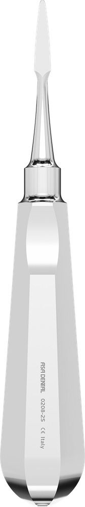 Seldin 0208-2S