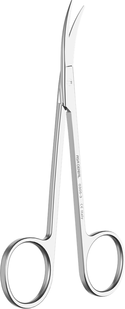 Iris 0305-3