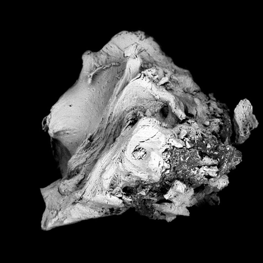Bonefill Granules – Bionnovation Biomedical, Knochenersatzmaterial