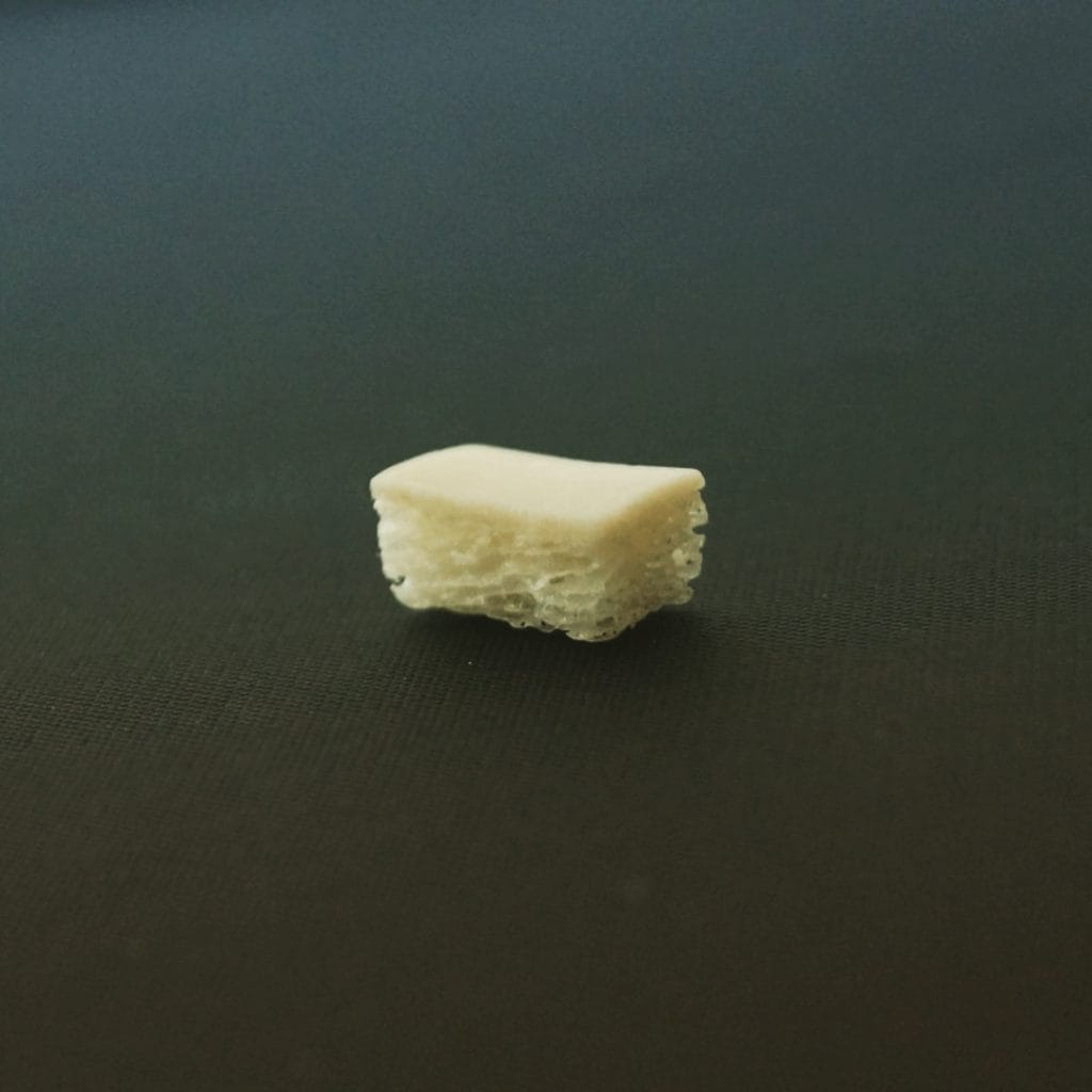 CenoBone – CenoBiologics Ltd, Knochenersatzmaterial