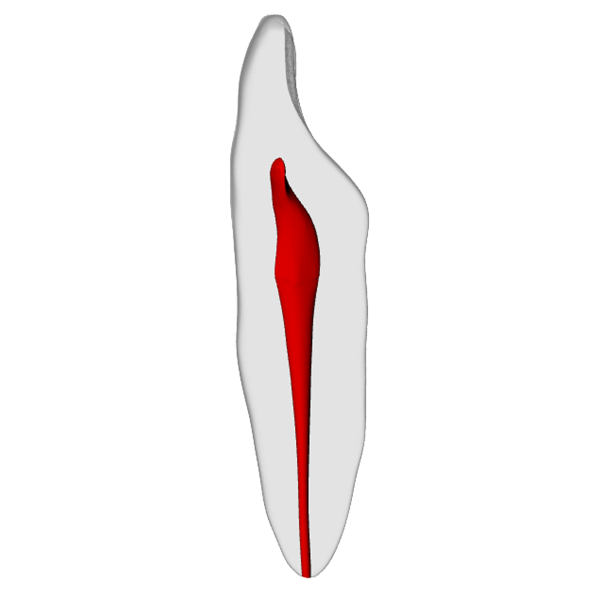 Incisor – Basic, Radiopaque (White) – DRSK Group AB, Gipszusätze, Stumpflacke und Gipslöser