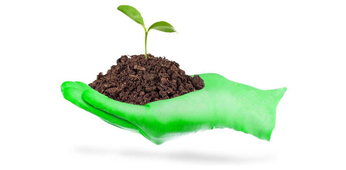 Sustainable Disposable Gloves - BeeSure – Ecobee Sdn Bhd, Arbeitskleidung - Arbeitsschutz
