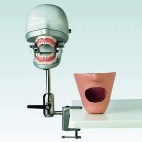 P-6/3 PT Dental-Übungsgerät – Frasaco, Demomodelle