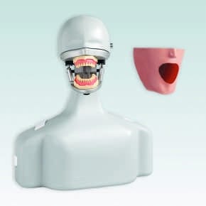 P-6/5 TSE Dental-Übungsgerät – Frasaco, Geräte
