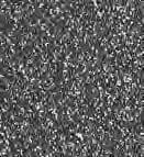 ApiX TAC-Traction Wurzelextraktionszange FIG. 45S Diamond – Schwert, Extraktionszangen