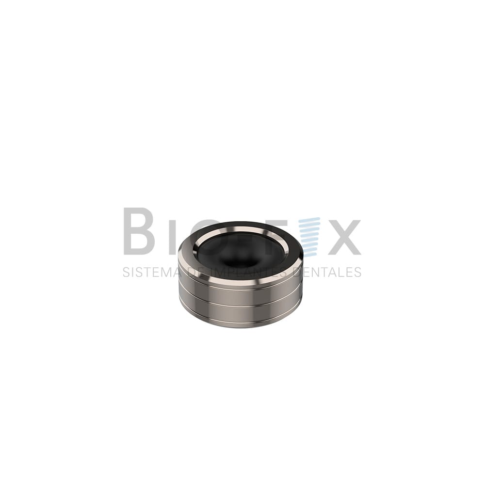 Schale und O-Ring – Grado Cuatro S.R.L, Sonstiges