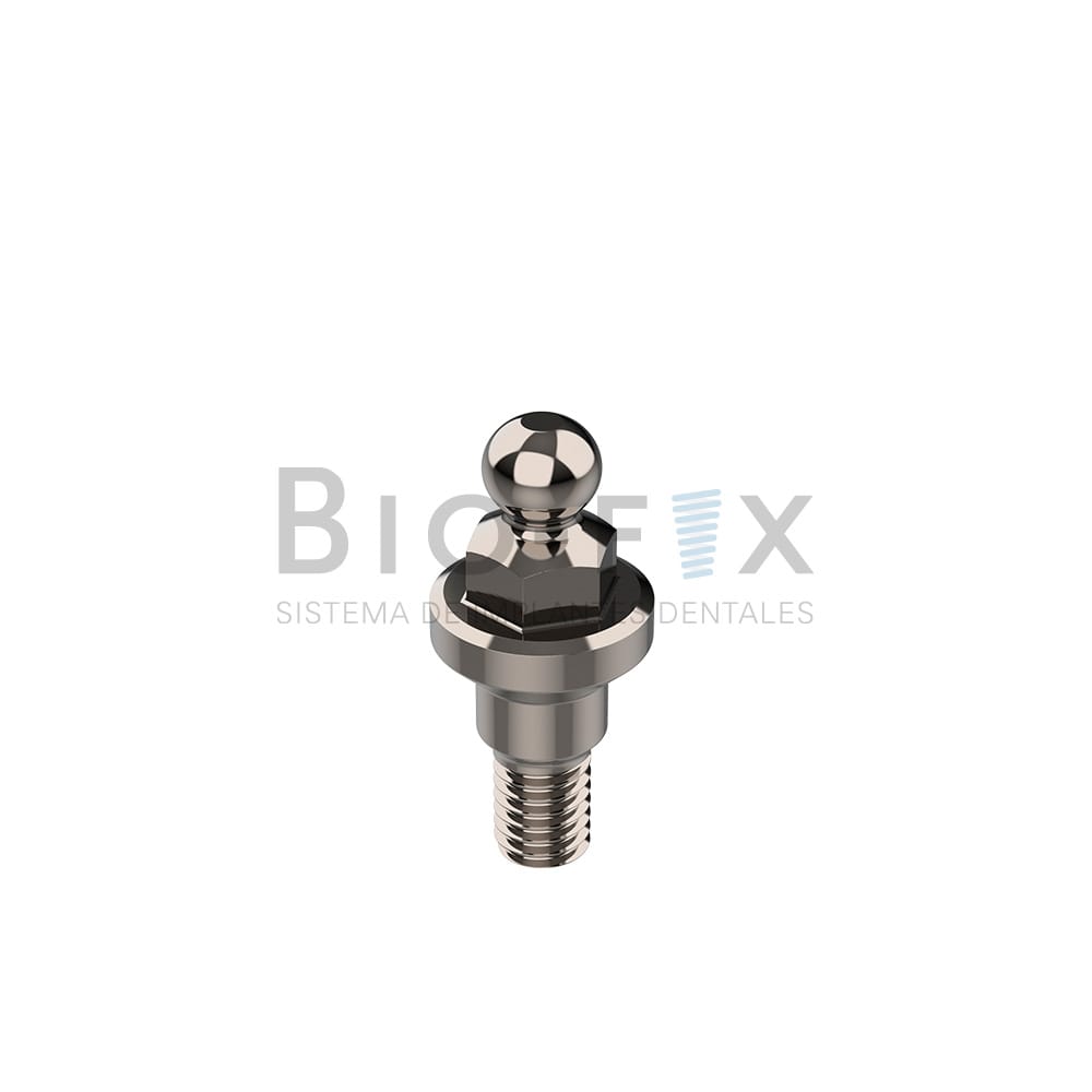 Ball attached und Schälchen c/o-ring – Grado Cuatro S.R.L, Abutments