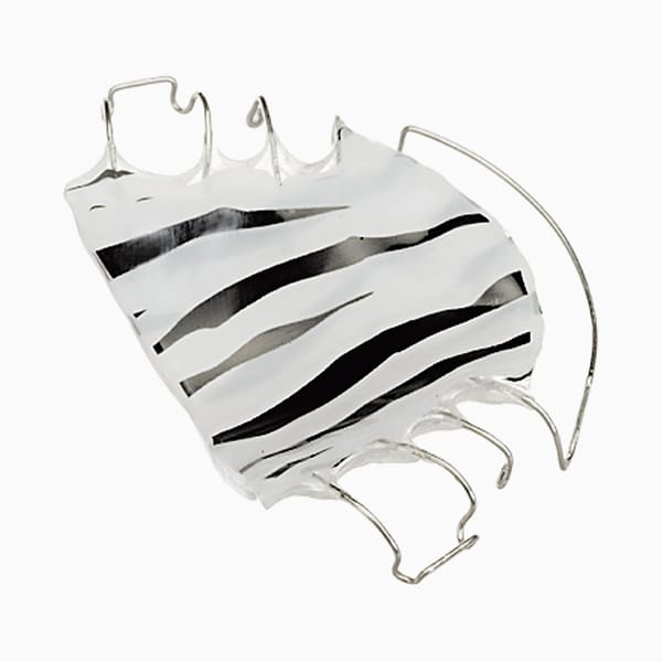 Hawley IV (Zebra) RA/17