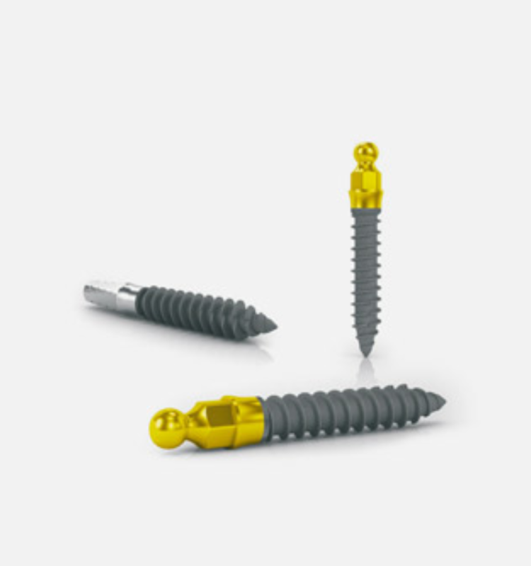 MICRO – Biomec S.r.l., Implantate