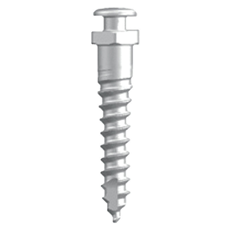 Excalibur Kieferorthopädisches Mini-Implantat – SIA ORTHODONTIC MANUFACTURER S.r.l., Verankerungssysteme