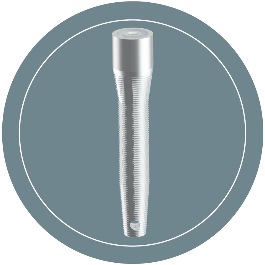 PTÉRYGOIDIEN – Visy, Implantate