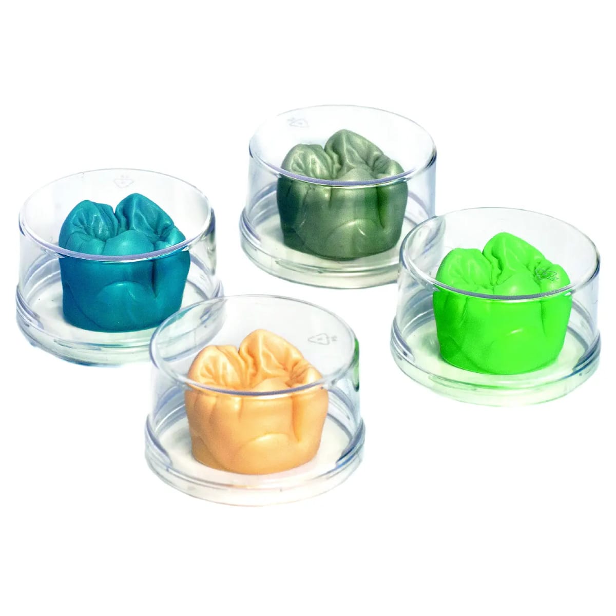 "Tooth" Modellationswachs Molar grau transparent – al dente Dentalprodukte, Wachse