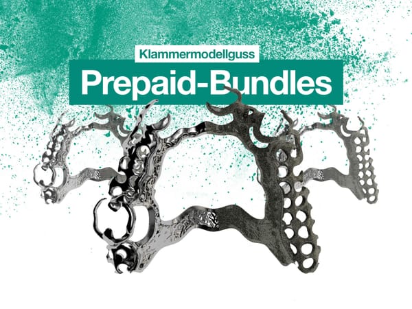 Modellguss Prepaid-Bundles