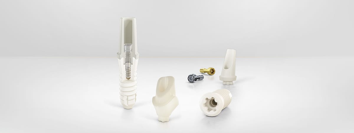 iSy Implantatsystem – Camlog, Implantate