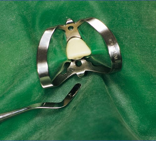 Fit-Kofferdam® Latex – Hager Werken, Sonstige Kofferdammaterialien