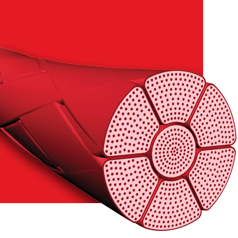 Alcasorb Rapid (PGAR)