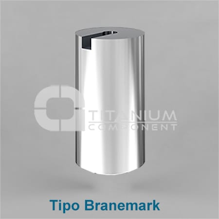 Ø3,75-4,1 BRANEMARK TYP MILLED ABUTMENT NICHT ROTIEREND