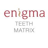 Enigma Cosmetic Denture Teeth