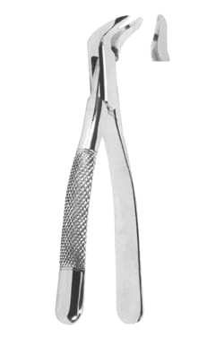 Extracting Forceps American pattern – Shahab Surgical Industries, Extraktionszangen