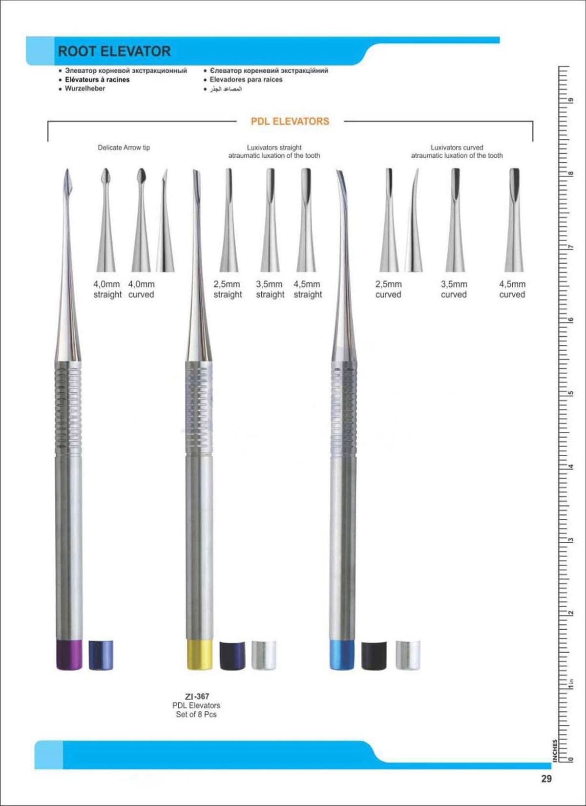 Root Elevators ZI-367 – Zaryab Instruments, Wurzelheber