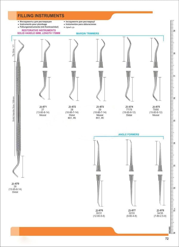 Filling Instruments ZI-870