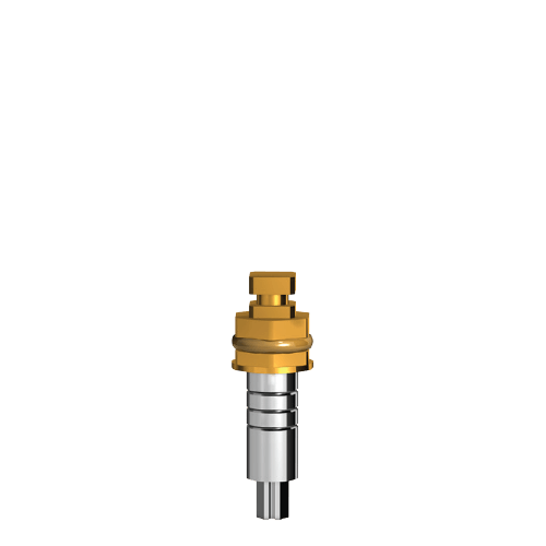 T3G-2.4,21-Y Driver for inserting the implant – AB Dental Devices Ltd., Systemunabhängige Instrumente und Zubehör