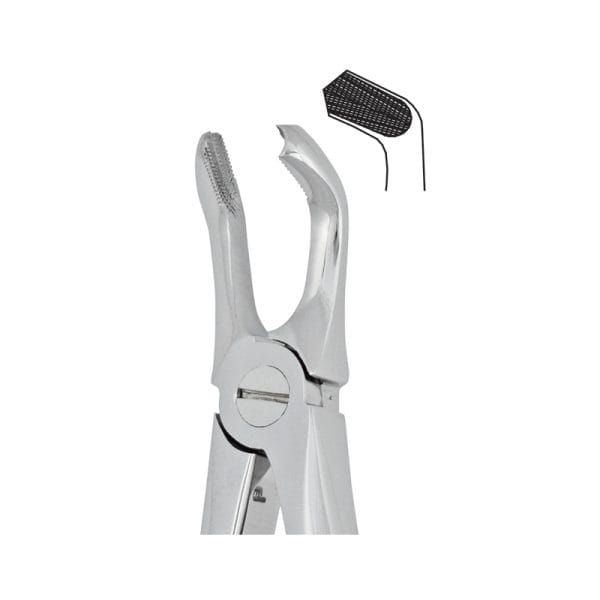 Tooth Forceps Englisth Pattern Fig. 79 – Accuram Instruments, Extraktionszangen
