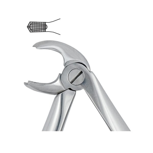 Tooth Forceps Pedodontic Spring Pattern Fig. 160 – Accuram Instruments, Extraktionszangen