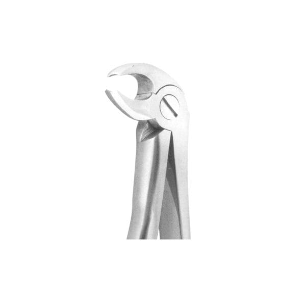 Tooth Forceps Blades Beak Grip Profile Anatomic Handle Fig. 22 – Accuram Instruments, Extraktionszangen