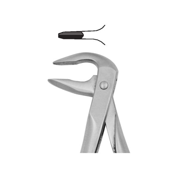 Tooth Forceps Blades Beak Grip Profile Anatomic Handle Fig. 74 – Accuram Instruments, Extraktionszangen
