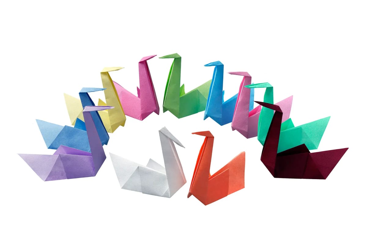 Tray Paper 28 x 36 cm – Akzenta International SA, Einwegartikel