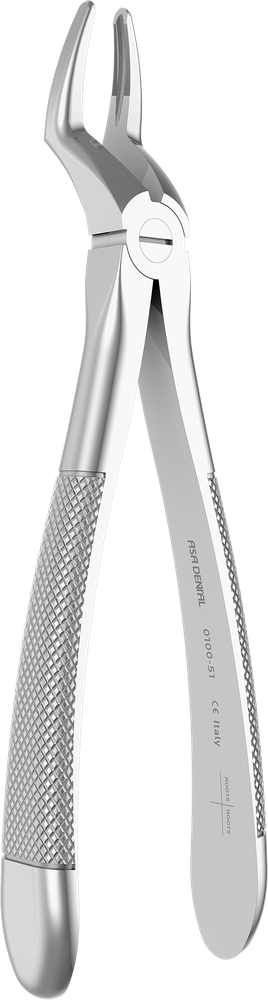 OK-Wurzeln - 18.2 ± 0.3 cm - mit geriffelten Spitzen 0100-51