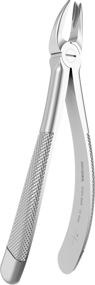 OK-Molaren rechts - 17 cm - mit geriffelten Spitzen 0100-66R