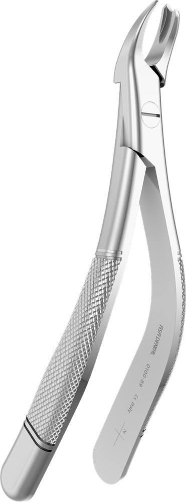 OK-Molaren rechts - 17.8 ± 0.3 cm - mit geriffelten Spitzen 0100-89