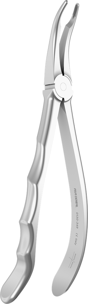 OK-Wurzel - 18 cm - mit geriffelten Spitzen 0130-349