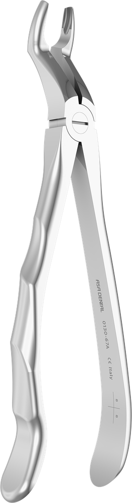 OK-Weisheitszähne - 18 cm - mit geriffelten Spitzen 0130-67A – ASA Dental S.p.A. Uninominale, Spezialzahnzangen
