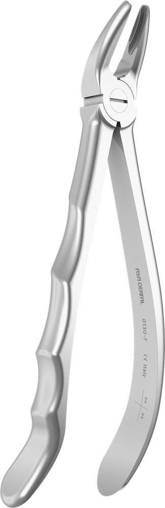 OK-Prämolaren - 16,5 cm - mit geriffelten Spitzen 0130-7