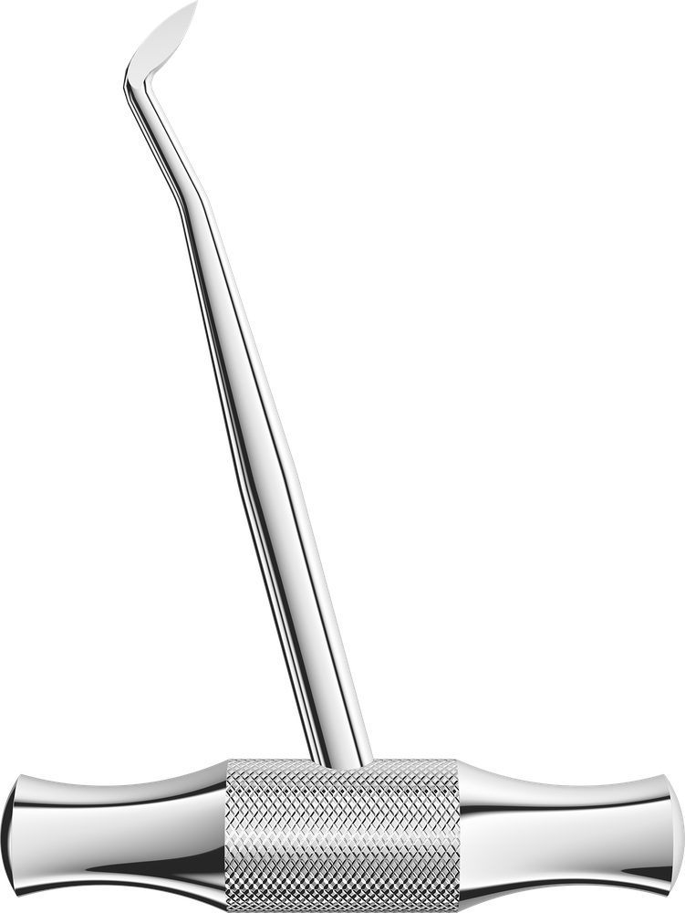 350 0202-350 – ASA Dental S.p.A. Uninominale, Wurzelheber