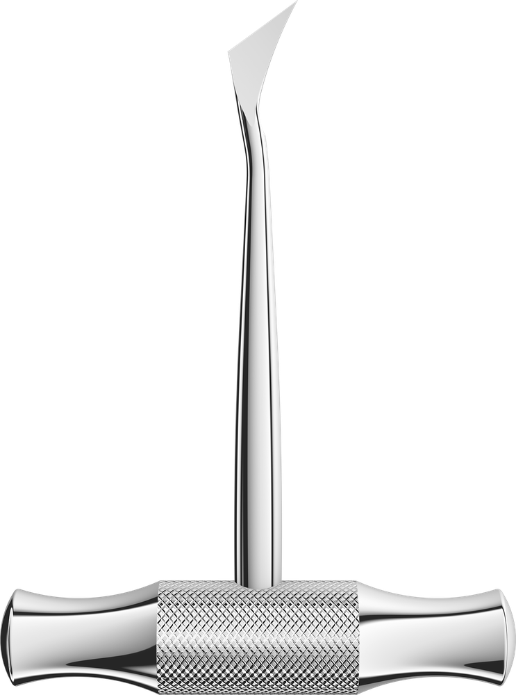 Winter 0204-12L – ASA Dental S.p.A. Uninominale, Wurzelheber