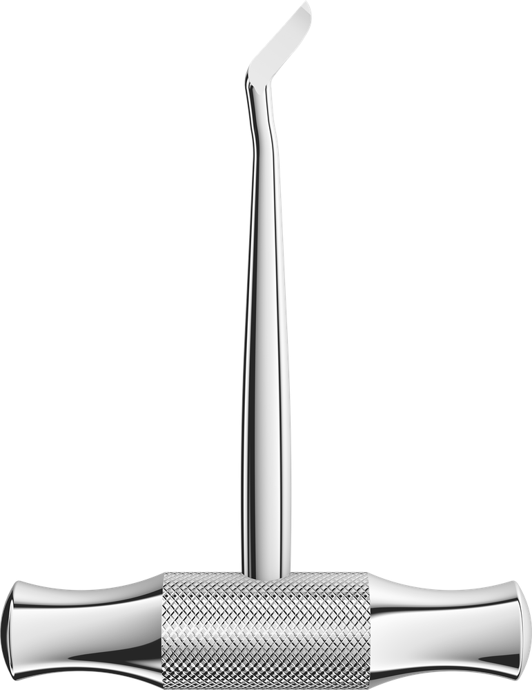 Winter 0204-14L – ASA Dental S.p.A. Uninominale, Wurzelheber
