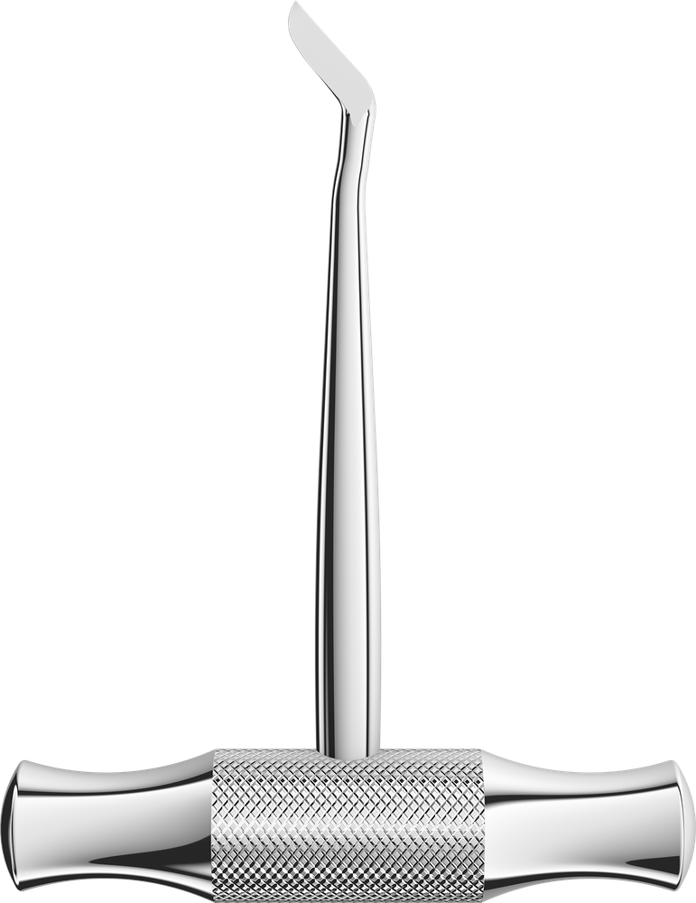 Winter 0204-14R – ASA Dental S.p.A. Uninominale, Wurzelheber