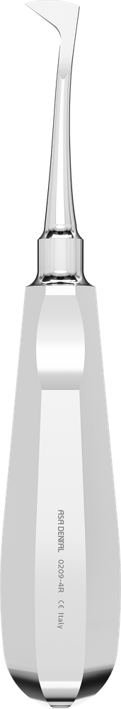 Seldin 4R 0209-4R – ASA Dental S.p.A. Uninominale, Wurzelheber